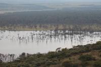 Lake Nakuru &ndash; &copy; Vicky Kern (Eberhardt TRAVEL)