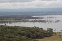 Lake Nakuru &ndash; &copy; Vicky Kern (Eberhardt TRAVEL)