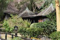 Lake Nakuru Lodge &ndash; &copy; Vicky Kern (Eberhardt TRAVEL)