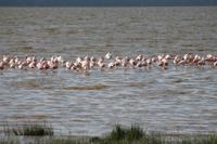 Lake Nakuru Nationalpark &ndash; &copy; Vicky Kern (Eberhardt TRAVEL)