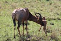 Topi mit Junge &ndash; &copy; Vicky Kern (Eberhardt TRAVEL)