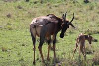 Topi mit Junge &ndash; &copy; Vicky Kern (Eberhardt TRAVEL)