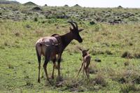 Topi mit Junge &ndash; &copy; Vicky Kern (Eberhardt TRAVEL)