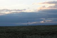Masai Mara &ndash; &copy; Vicky Kern (Eberhardt TRAVEL)
