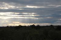 Masai Mara &ndash; &copy; Vicky Kern (Eberhardt TRAVEL)