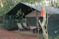 Mara Bush Camp &ndash; &copy; Vicky Kern (Eberhardt TRAVEL)