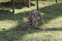 Mara Bush Camp &ndash; &copy; Vicky Kern (Eberhardt TRAVEL)