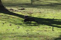 Lake Naivasha Country Club &ndash; &copy; Vicky Kern (Eberhardt TRAVEL)