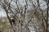 Lake Naivasha &ndash; &copy; Vicky Kern (Eberhardt TRAVEL)