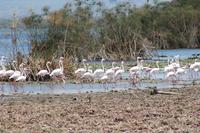 Crescent Island &ndash; &copy; Vicky Kern (Eberhardt TRAVEL)