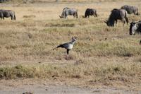 Sekretär &ndash; &copy; Vicky Kern (Eberhardt TRAVEL)
