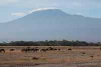 Amboseli Nationalpark &ndash; &copy; Vicky Kern (Eberhardt TRAVEL)
