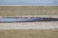 Amboseli Nationalpark &ndash; &copy; Vicky Kern (Eberhardt TRAVEL)