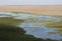 Amboseli Nationalpark &ndash; &copy; Vicky Kern (Eberhardt TRAVEL)