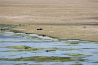 Amboseli Nationalpark &ndash; &copy; Vicky Kern (Eberhardt TRAVEL)