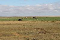 Amboseli Nationalpark &ndash; &copy; Vicky Kern (Eberhardt TRAVEL)
