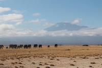 Amboseli Nationalpark &ndash; &copy; Vicky Kern (Eberhardt TRAVEL)