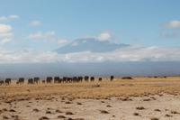 Amboseli Nationalpark &ndash; &copy; Vicky Kern (Eberhardt TRAVEL)