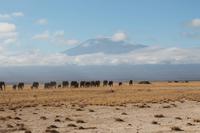 Amboseli Nationalpark &ndash; &copy; Vicky Kern (Eberhardt TRAVEL)