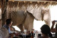 Am Galdessa Camp &ndash; &copy; Vicky Kern (Eberhardt TRAVEL)