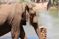 Am Galdessa Camp &ndash; &copy; Vicky Kern (Eberhardt TRAVEL)