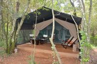 Masai mara bush Camp &ndash; &copy; Hubert Lücker (Eberhardt TRAVEL)