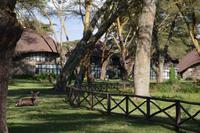Naivasha Sopa Lodge 1