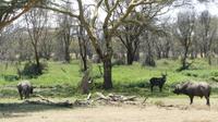 Solio Reservat  &ndash; &copy; Frank Nimschowski (Eberhardt TRAVEL)