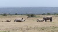 Solio Reservat  &ndash; &copy; Frank Nimschowski (Eberhardt TRAVEL)
