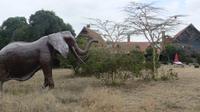 Sandai Ranch &ndash; &copy; Frank Nimschowski (Eberhardt TRAVEL)