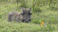 Lake Nakuru Nationalpark &ndash; &copy; Frank Nimschowski (Eberhardt TRAVEL)