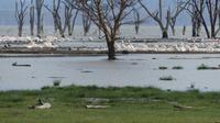 Lake Nakuru Nationalpark &ndash; &copy; Frank Nimschowski (Eberhardt TRAVEL)