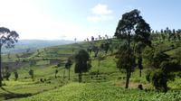 26.9. Wir verlassen das Rift Valley &ndash; &copy; Frank Nimschowski (Eberhardt TRAVEL)