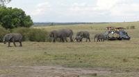 Masai Mara &ndash; &copy; Frank Nimschowski (Eberhardt TRAVEL)