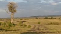 Masai Mara &ndash; &copy; Frank Nimschowski (Eberhardt TRAVEL)