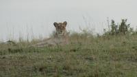 Masai Mara &ndash; &copy; Frank Nimschowski (Eberhardt TRAVEL)
