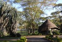 Sopa Lodge Lake Naivasha &ndash; &copy; Frank Nimschowski (Eberhardt TRAVEL)