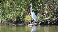 Bootstour Lake Naivasha &ndash; &copy; Frank Nimschowski (Eberhardt TRAVEL)