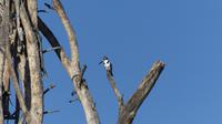 Bootstour Lake Naivasha &ndash; &copy; Frank Nimschowski (Eberhardt TRAVEL)