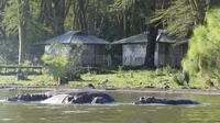 Bootstour Lake Naivasha &ndash; &copy; Frank Nimschowski (Eberhardt TRAVEL)