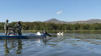 Bootstour Lake Naivasha &ndash; &copy; Frank Nimschowski (Eberhardt TRAVEL)