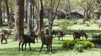 Sopa Lodge Lake Naivasha &ndash; &copy; Frank Nimschowski (Eberhardt TRAVEL)