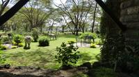 Sopa Lodge Lake Naivasha &ndash; &copy; Frank Nimschowski (Eberhardt TRAVEL)