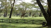 Sopa Lodge Lake Naivasha &ndash; &copy; Frank Nimschowski (Eberhardt TRAVEL)