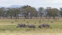 Amboseli Nationalpark &ndash; &copy; Frank Nimschowski (Eberhardt TRAVEL)