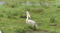 Amboseli Nationalpark &ndash; &copy; Frank Nimschowski (Eberhardt TRAVEL)