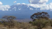 Kilimandscharo von unserer Lodge &ndash; &copy; Frank Nimschowski (Eberhardt TRAVEL)