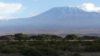 Kilimandscharo beim Nachmittags Game Drive &ndash; &copy; Frank Nimschowski (Eberhardt TRAVEL)