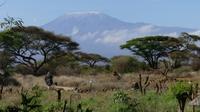Morgens in unserer Lodge &ndash; &copy; Frank Nimschowski (Eberhardt TRAVEL)