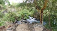Tsavo West Mzima Spings &ndash; &copy; Frank Nimschowski (Eberhardt TRAVEL)